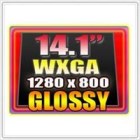 Màn hình (LCD) 14.1 inch wide gương 30 chân WXGA 1